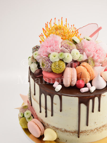 Tweedy Naced Cake Choc-Drip Kaktusnelke 3